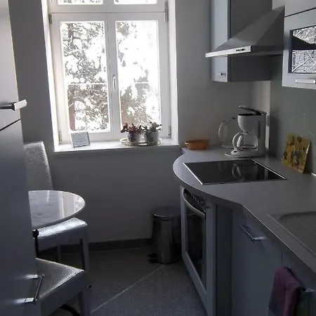 Apartmenthaus Saxonia Bad Schandau Zimmer foto