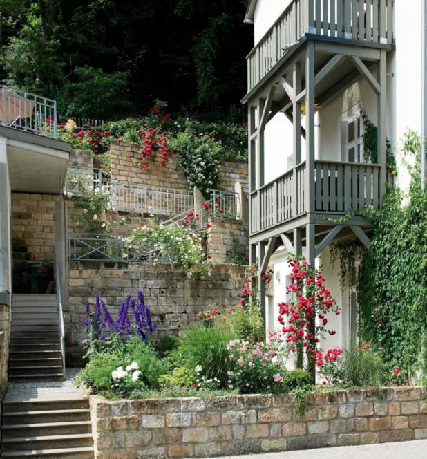 Apartmenthaus Saxonia Apartment